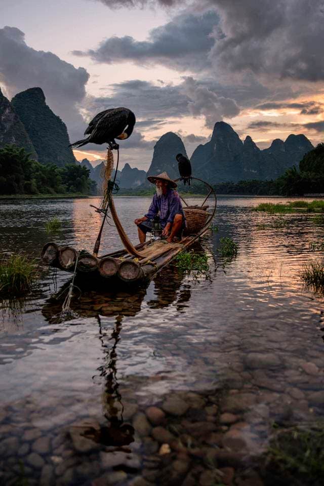 A cormorant fisherman on a bamboo raft with his bird at sunset in Guilin, China.