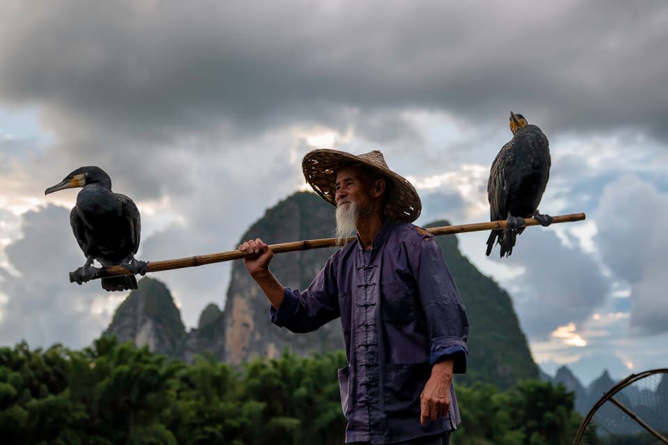 Cormorant fisherman with two birds on a pole at sunset on the Li River in Guilin, China.