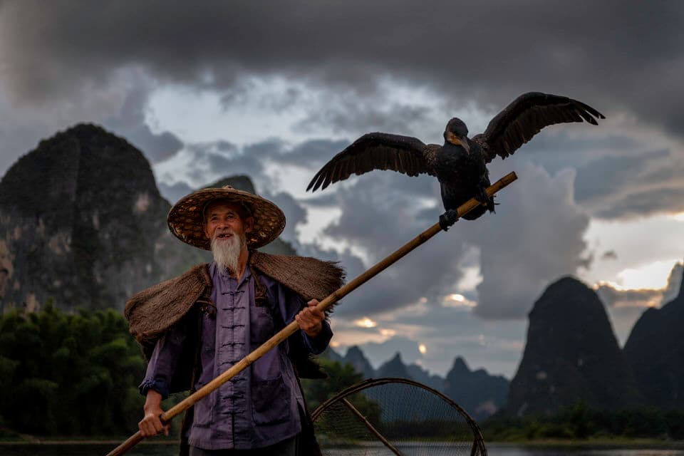 Cormorant fisherman holding a pole with a bird perched on it on the Li River in Guilin, China.