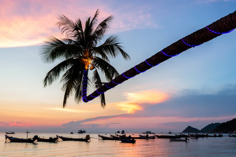 Palm tree with lights and traditional fishing boats at sunset on Koh Tao island, Thailand