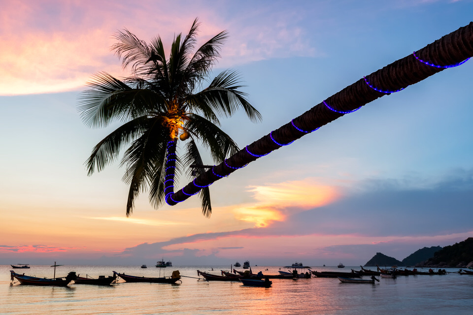 A palm tree jets out over Koh Tao’s Sairee Beach